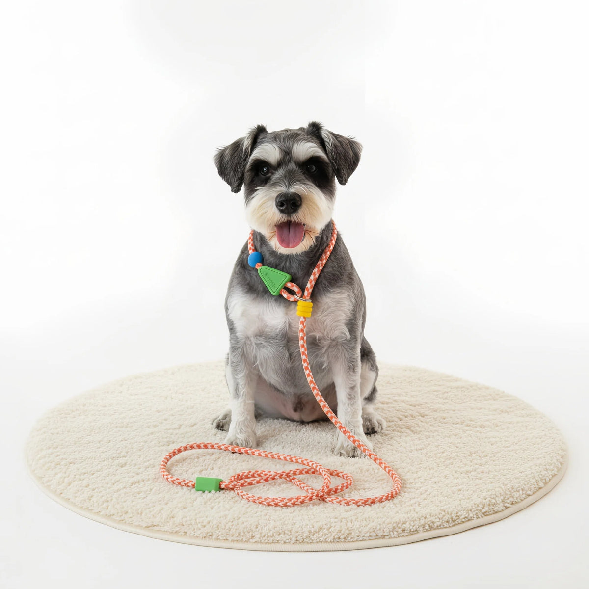 Canyon Red Braided Rope Dog Leash – Shock Absorbing