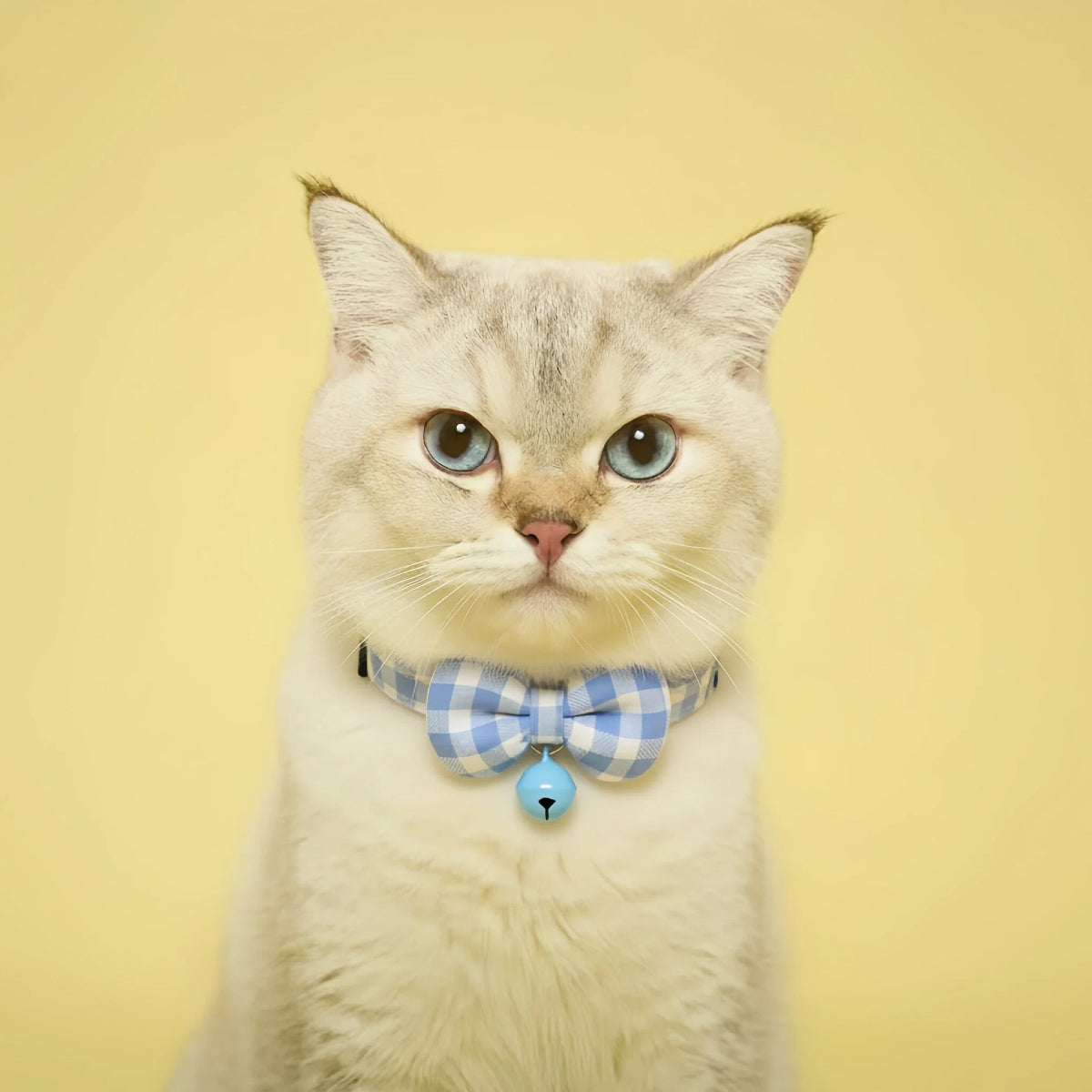 Sky Blue Gingham Bow Cat Collar – Safety Buckle