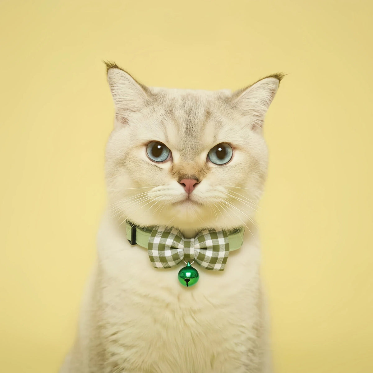 Sage Green Gingham Bow Cat Collar – Lightweight & Safe