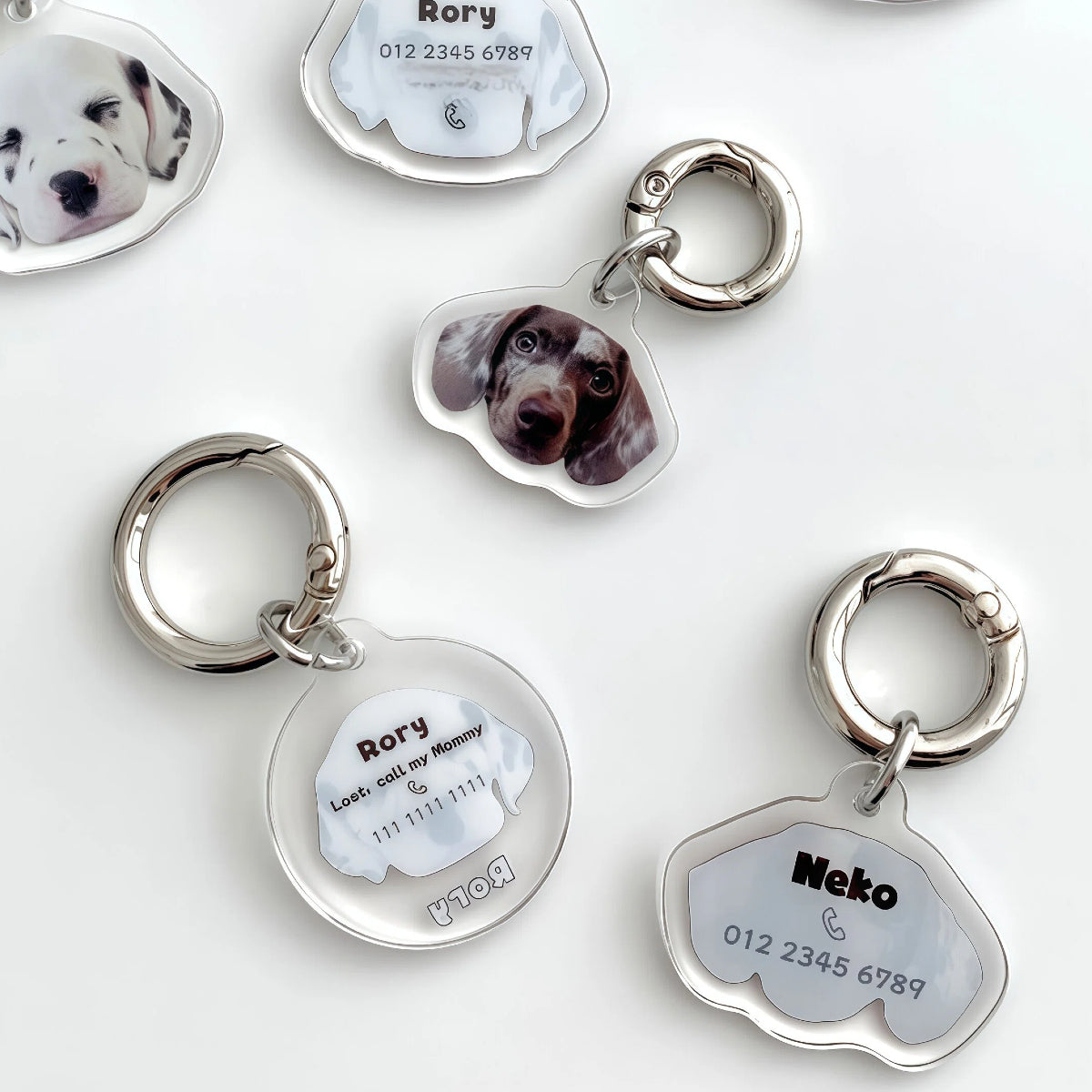 Personalized Portrait Pet ID Tag – Safety Clip Design