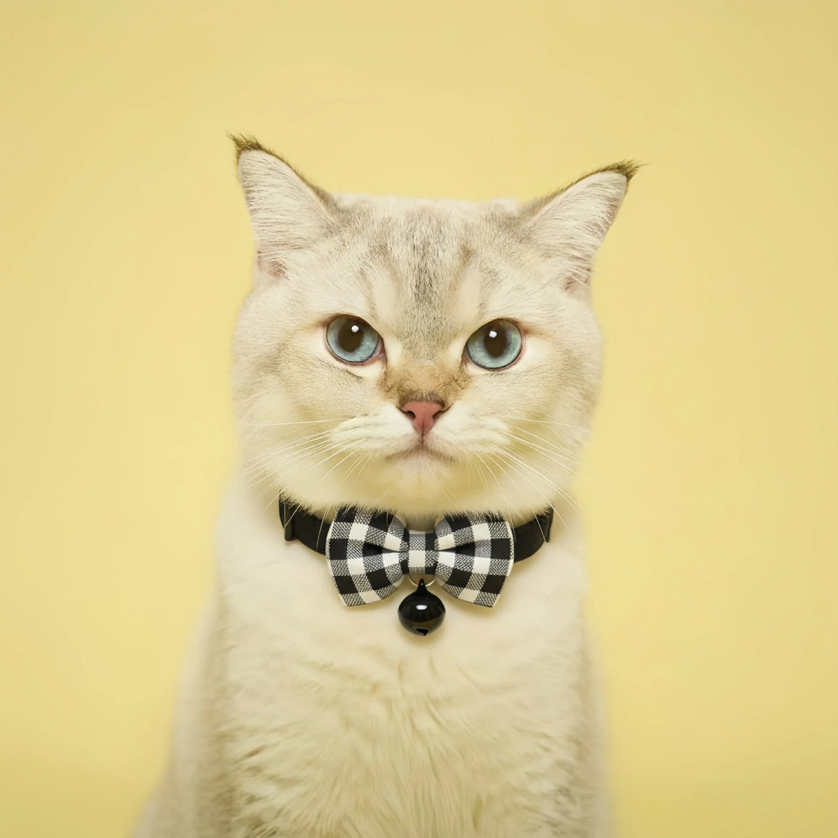 Classic Black Gingham Bow Cat Collar – Safety Buckle