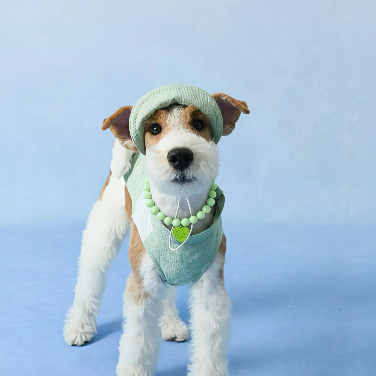 Dopamine Apple Green Pet Necklace with Heart Charm