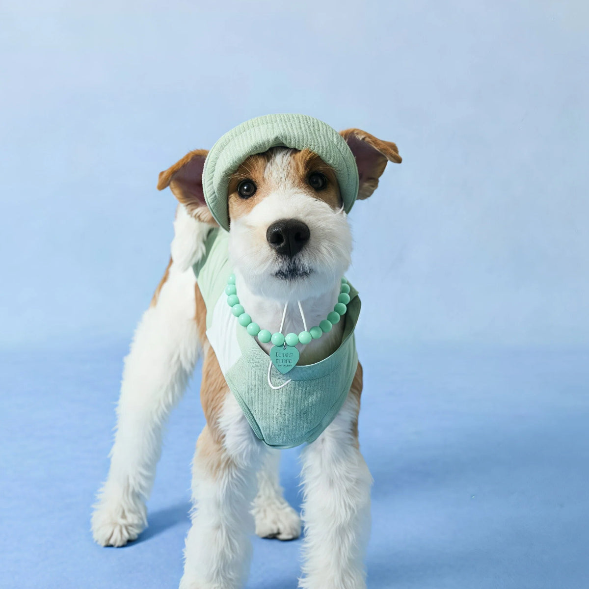 Dopamine Mint Pet Necklace with Heart Charm